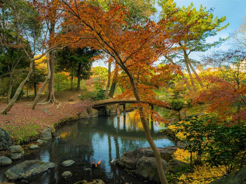 六義園（東京）